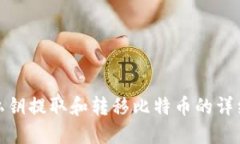 使用私钥提取和转移比特币的详细指南