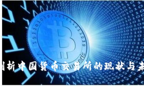diaoti全面剖析中国货币交易所的现状与未来发展趋势