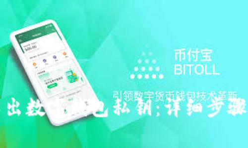 如何安全导出数字钱包私钥：详细步骤与注意事项
