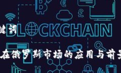 与关键词USDT在俄罗斯市场的应用与前景解析