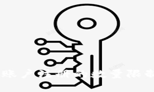 关于PayPal账户注册的数量限制及使用指南