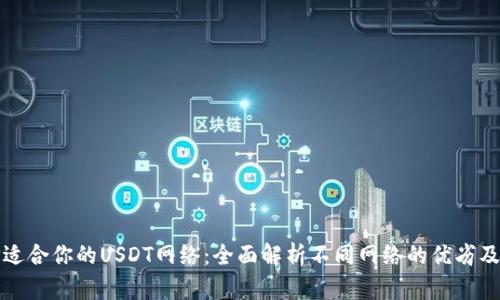 如何选择适合你的USDT网络：全面解析不同网络的优劣及适用场景