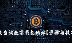 如何有效查询数字钱包地址？步骤与技巧全解析