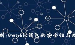 深入解析：Ownbit钱包的安全性与功能特点