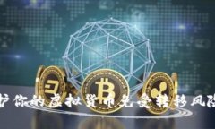 如何有效保护你的虚拟货币免受转移风险的全面