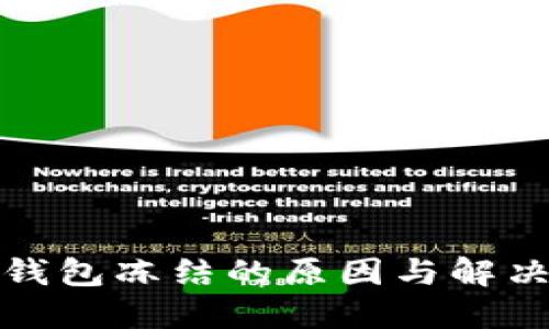 数字货币钱包冻结的原因与解决方案详解