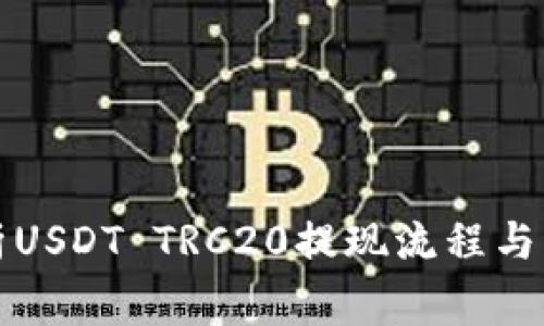 详细解析USDT TRC20提现流程与注意事项