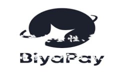 虚拟币交易所是一个专门的在线平台，允许用户