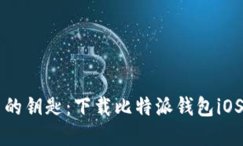 掌握数字货币的钥匙：下载比特派钱包iOS版的详细指南