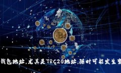 位于特定区块链的数字货币钱包地址，尤其是T