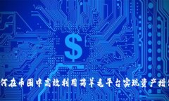 如何在币圈中高效利用薅羊毛平台实现资产增值