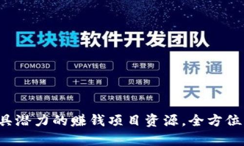 发掘2023年最具潜力的赚钱项目资源，全方位解析与实战指南