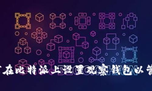 一步步指导：如何在比特派上设置观察钱包以管理您的加密资产