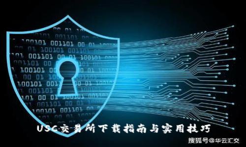 USC交易所下载指南与实用技巧