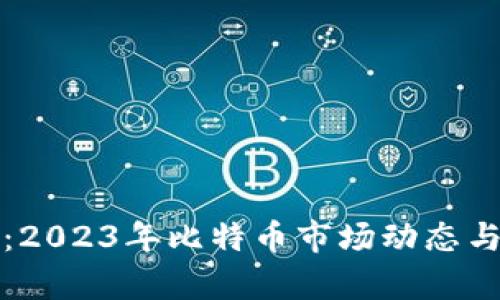 深入剖析：2023年比特币市场动态与投资策略