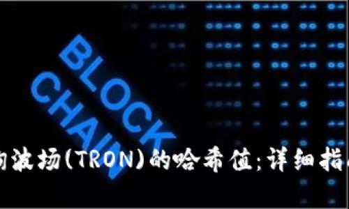 如何有效查询波场(TRON)的哈希值：详细指南与实用技巧
