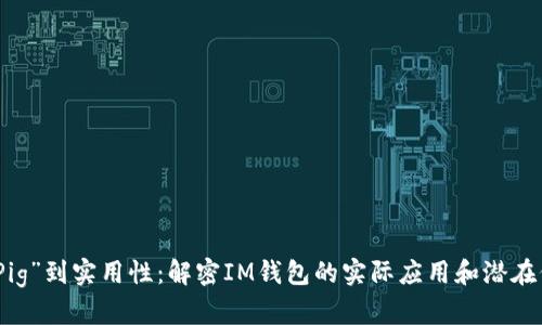 从“Pig”到实用性：解密IM钱包的实际应用和潜在价值