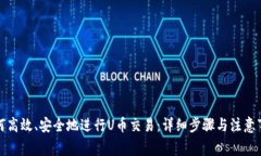 如何高效、安全地进行U币交易：详细步骤与注意