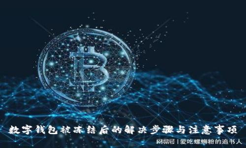 数字钱包被冻结后的解决步骤与注意事项
