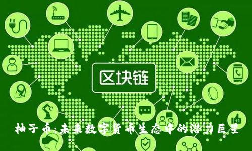 柚子币：未来数字货币生态中的潜力巨星