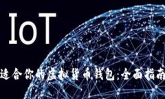 选择最适合你的虚拟货币钱包：全面指南与推荐