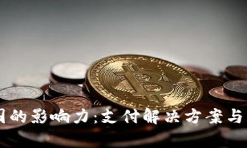 BitPay在中国的影响力：支付解决方案与市场前景分析