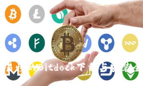 简明易懂的Bitdock下载与安装全指南