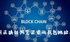 全面解析区块链浏览器中的钱包地址及其应用