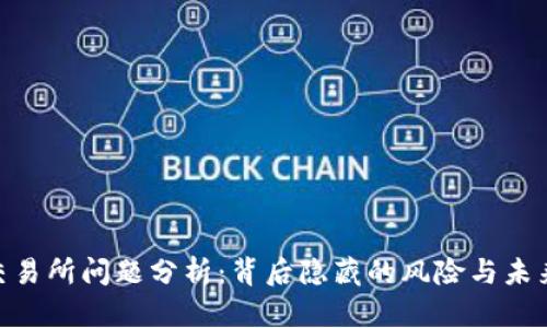 币U交易所问题分析：背后隐藏的风险与未来展望