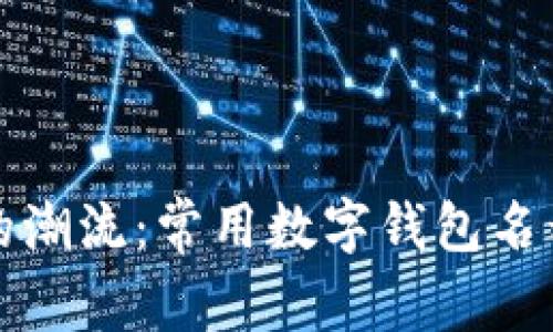 数字钱包的潮流：常用数字钱包名称全面解析