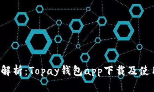  全面解析：Topay钱包app下载及使用指南