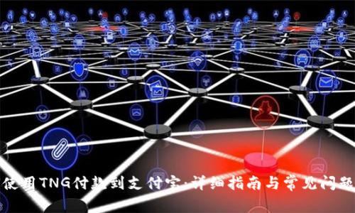如何使用TNG付款到支付宝：详细指南与常见问题解答