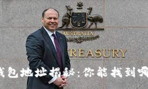 :
区块链钱包地址揭秘：你能找到哪些信息？