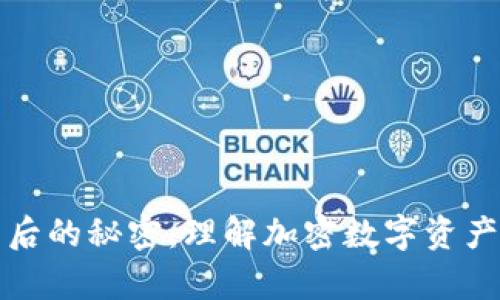 区块链钱包背后的秘密：理解加密数字资产的存储与安全