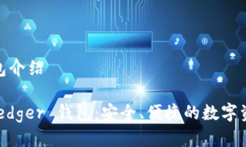 Ledger 钱包介绍

深入了解 Ledger 钱包：安全、便捷的数字资产管理平台