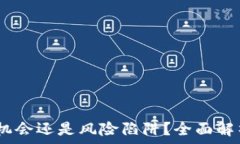  尤达币：投资机会还是风险陷阱？全面解析及赚