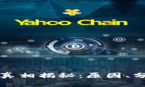 虚拟币暴跌的真相揭秘：原因、分析与未来趋势