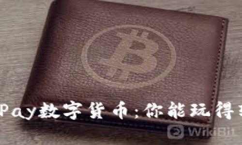 探索Pay数字货币：你能玩得转吗？