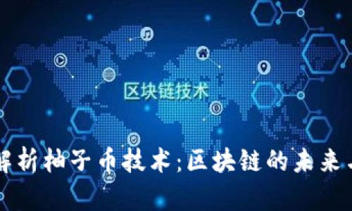 深入解析柚子币技术：区块链的未来与应用