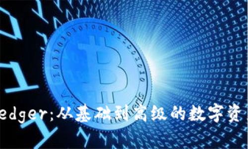 全面解析Ledger：从基础到高级的数字资产管理教程