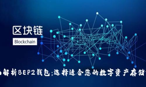 全面解析BEP2钱包：选择适合您的数字资产存储方案