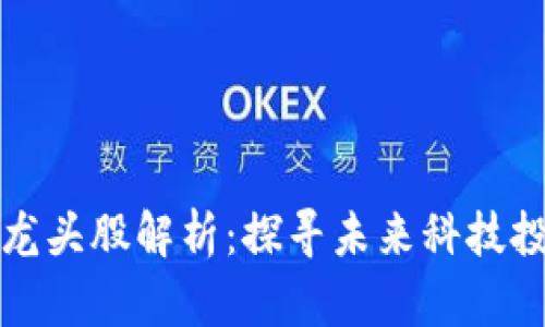 区块链的龙头股解析：探寻未来科技投资的金矿