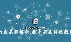 区块链的龙头股解析：探寻未来科技投资的金矿