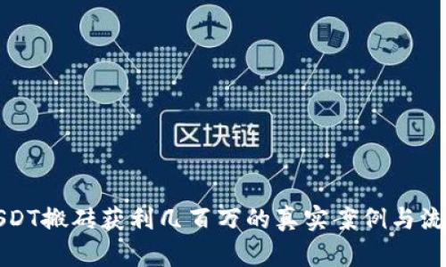 揭秘USDT搬砖获利几百万的真实案例与流程分析