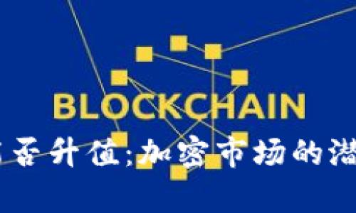 泰达币USDT能否升值：加密市场的潜力与风险解析